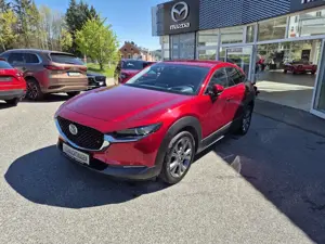 Mazda CX-30 Selection Matrix-LED  360° Kamera Head up Navi