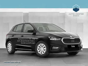 Skoda Fabia 1.0 TSI Tour Fernlichtass.*Kam.*KeyLess*LM