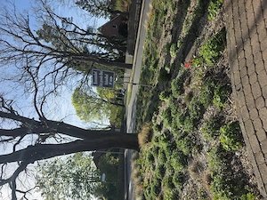 Handjob für taschengeld