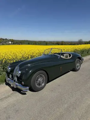 Jaguar XK