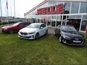 BMW X4 xDrive 20 d *Xenon+SHZ+AHK+Automatik*