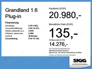 Opel Grandland 1.6 Plug-in Sitzheizung, Rückfahrkamera Bild 4