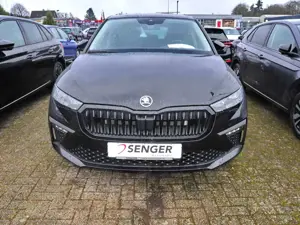 Skoda Kamiq 1.0 TSI Monte Carlo Matrix AHK Sitzhzg. Bild 2