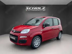 Fiat Panda MY25