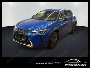 Lexus UX 250h Launch Edition ACC*Navi*SHZ*Alufelgen