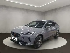 CUPRA Formentor 2.0 TDI 4Drive Allrad, Kamera, Sitzhei