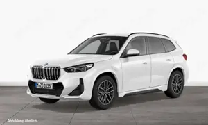 BMW X1 xDrive30e M Sportpaket Harman/Kardon Head-Up AHK D