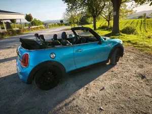 MINI Cooper S Cabrio Mini Cooper S Cabrio Leder Alcantara Navi Sport LED Bild 4