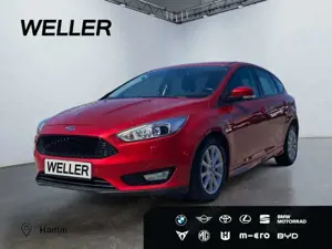 Ford Focus 1.5 EcoBoost Titanium *Xenon*CAM*hzb Fronts*