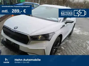 Skoda Enyaq iV 60 Loft Navi ACC Wärmepumpe LED CAM