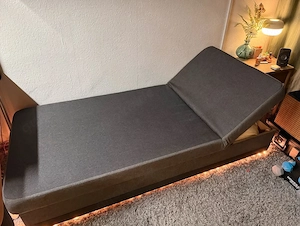 Hochwertiger Bett-Sofa - Neuwertig (Amazon TOP Qualität)