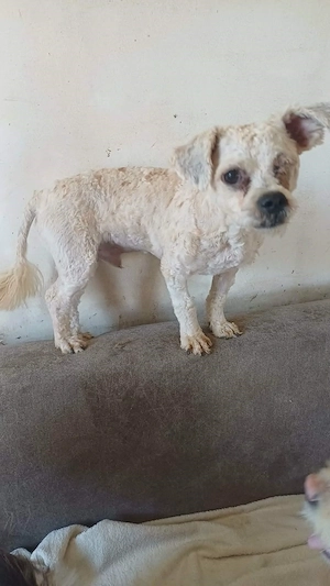 Luca - das kann doch nicht mein Leben gewesen sein...