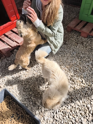 Lea sucht ein Zuhause für immer