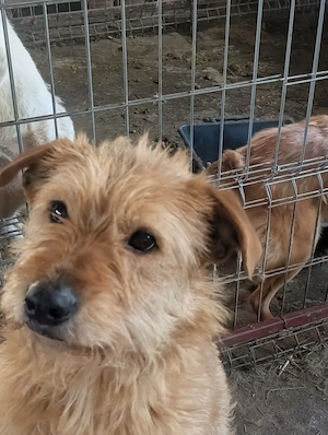 Elliot sucht seine Menschen für immer