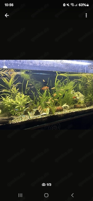 240 liter Aquaristik