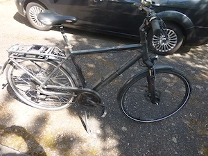 Pegasos eBike zu verkaufen Bild 3