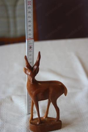 Echtholzreh Dekorativ Edel