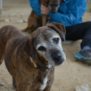 Lala   eine leise, zarte Seele auf der Suche