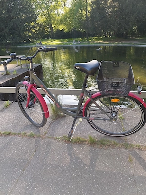 Damenfahrrad 