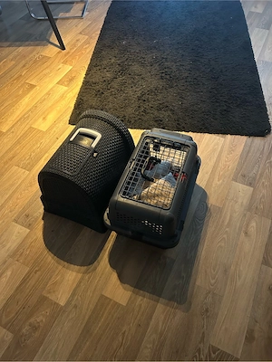 transportbox größe M 