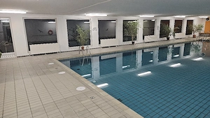 Mitbewohnerin,  gesucht 