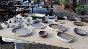 Verkaufe meine Bonsai Schalen.