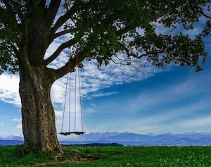 Empathische Lebensberatung & Strategisches Coaching am Telefon