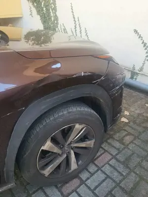 Lexus NX 300h NX 300h E-FOUR Luxury Line