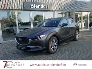 Mazda CX-30 Selection 122 Navi|Kamera|Apple Carplay
