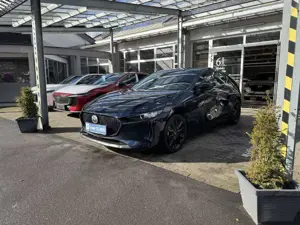 Mazda 3 M-Hybrid 150PS Homura Carplay, LED, ACC, PDC Kamer