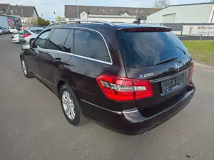 Mercedes-Benz E 250 E T-Modell E 250 BlueEfficiency Bild 5