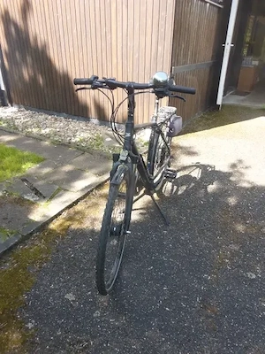 Pegasos eBike zu verkaufen Bild 2