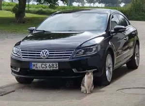 Volkswagen CC Basis BMT