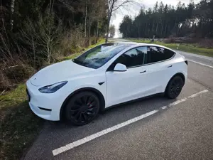 Tesla Model Y Model Y Performance Dual Motor AWD
