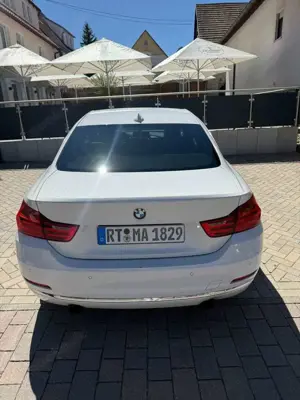 BMW 435 435 i Sportabgasanlage Hg Motorsport Bild 3