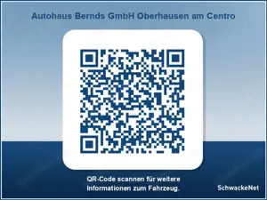 Renault Trafic Blue dCi 150 Grand Aut. Evolution AUTOMATIK