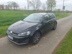 Volkswagen Golf Golf 1.6 TDI BlueMotion Technology DSG Allstar