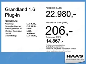 Opel Grandland 1.6 Plug-in Lederausstattung, Allrad Bild 4