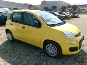 Fiat Panda Pandina ICON gelb/schwarz