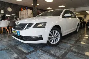 Skoda Octavia Lim. Active/AHK/Aluräder/Touch/SR+WR/