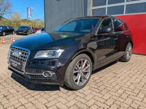 Audi SQ5 3.0 TDI plus quattro Stdhzg AHK Kamera Raute