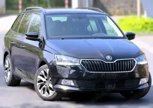 Skoda Fabia Best of AHK LED CARPLAY ACC Totwinkel