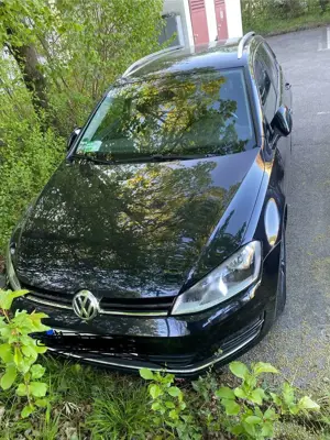 Volkswagen Golf Variant 1.6 TDI BlueMotion Technology DSG Allstar