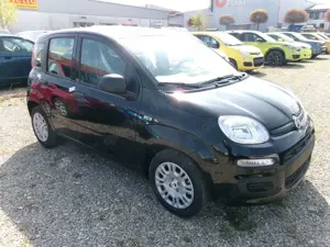 Fiat Panda Pandina ICON Schwarz