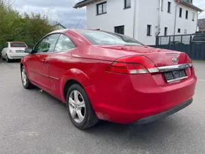 Ford Focus CC 1.6 Cabrio TÜV/Serv NEU 07/27+KLIMA+Sihz+Temp Bild 4