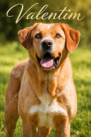 Valentim - kraftvoller Junge mit großem Herzen