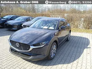 Mazda CX-30 2.5L e-SKYACTIV G Automatik Center-Line+Design-Pak