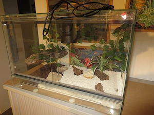 Terrarium  2 schöne Terrarien   1x 60 cm  und 1 x  100 cm  