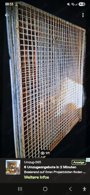 11 Hunde Gitter Zäune 