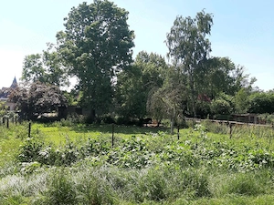 532 qm Gartengrundstück Erholungsfläche Freizeitgrundstück zu verpachten !